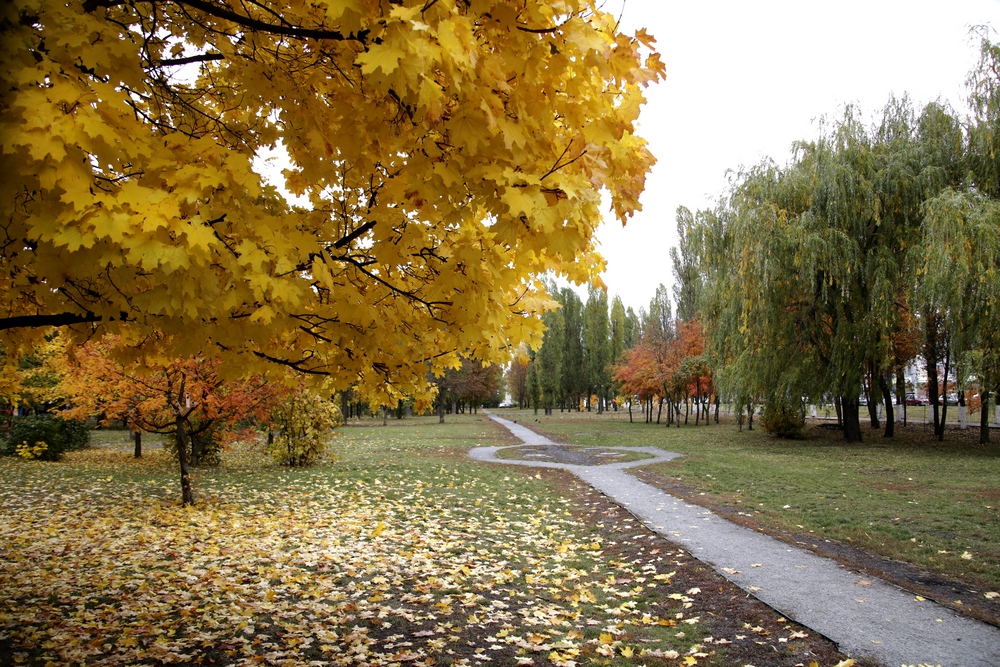 Белгород В Октябре Фото